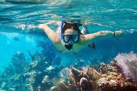 Cham Island Tour Snorkling -Solbadning - Nice Beach - Speedbåd