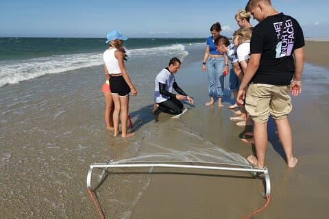 Zeeland Beach safari with Fishnet NL/DE