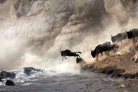 Safari privé de 2 jours dans la réserve nationale de Maasai Mara au départ de Nairobi
