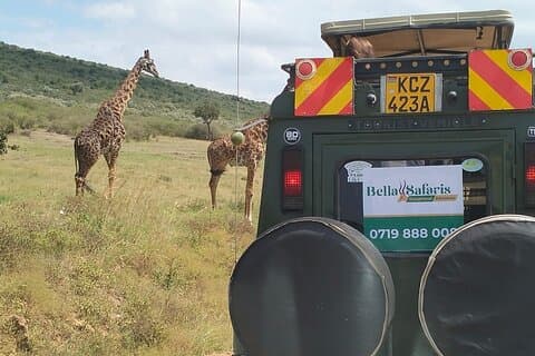 3-Day Masai Mara Festive Season Safari Christmas&New Year Safari