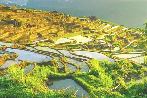 Private Hanoi Mai Chau Puluong 2 Days Tour(Overnight at Mai Chau)