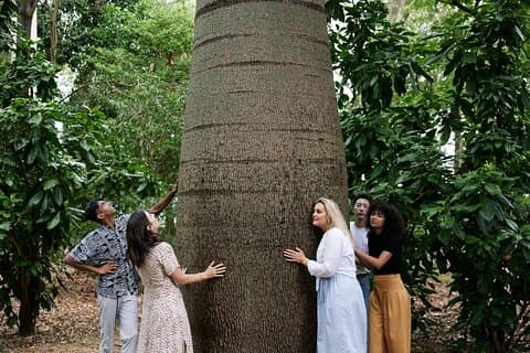Visita cultural aborigen guiada al jardín botánico de Adelaida