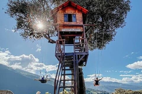 The Tree House - Tours - Swing at the End of the World - Viewpoint