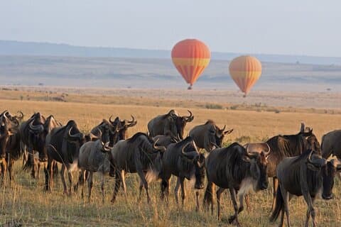 5-tägiges klassisches Tarangire-, Serengeti- und Ngorongoro-Camping