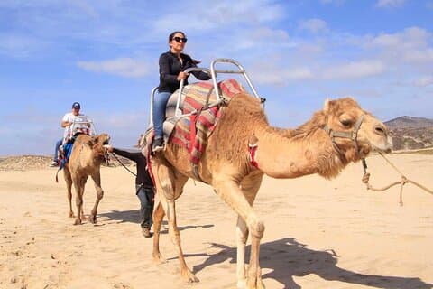 Camel Desert Ride-ervaring in Cabo