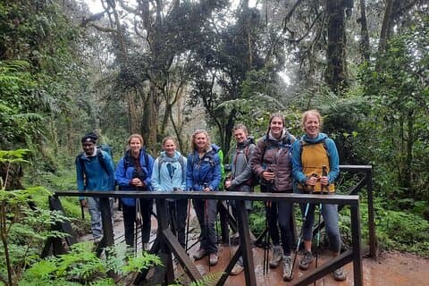 Mount Kilimanjaro Day Hike Through Marangu Route to Mandara Hut