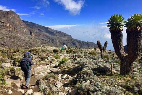 6-dages privat Kilimanjaro-klatring via Rongai-ruten