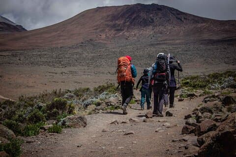 Privé meerdaagse wandeltocht op de Lemosho-route, Kilimanjaro