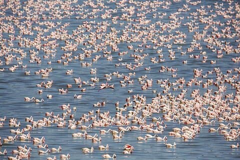 Full Day Tour To Arusha National Park Canoeing Safari