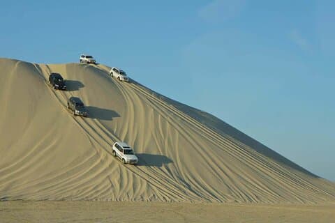 Doha, Qatar: Desert Safari, Dune Bashing (Private/Sharing Safari)