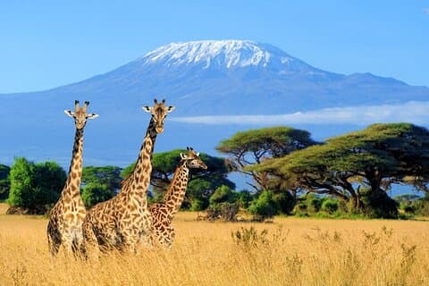 Safari de nuit au parc national d'Amboseli