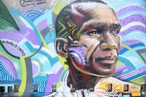 Nairobi Stopover & Layover Tour - Privado, rápido e flexível!