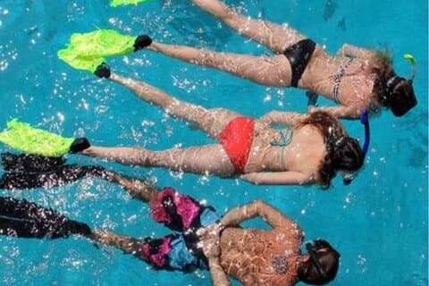 Miami: Snorkeling for begyndere tur