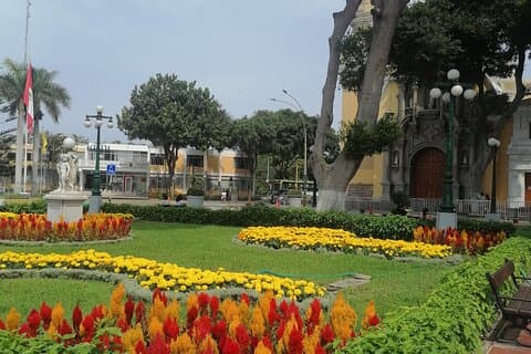 Halvdagstur til La Feria de Barranco