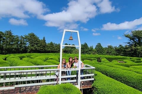 2-days Private Taxi Tour in Jeju Island
