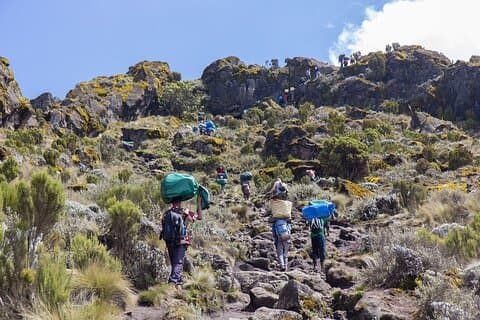 7 dagers fjelltur på Kilimanjaro Marangu-ruten
