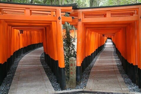 Ab Tokio: 1-tägige englischsprachige Tour durch Kyoto mit dem Hochgeschwindigkeitszug