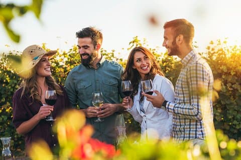 Tour di degustazione di vini tedeschi nei migliori wine bar di Berlino