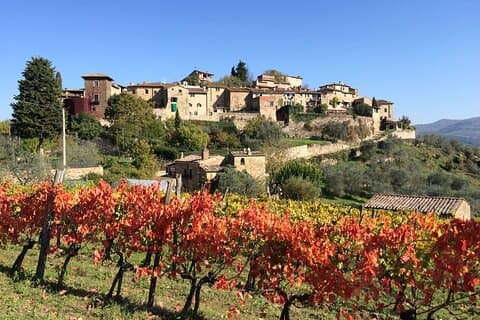 Private Siena, S. Gimignano, Chianti Road and Wine Tasting