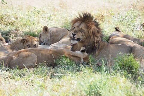 2-Days Guided Tour in Tsavo East