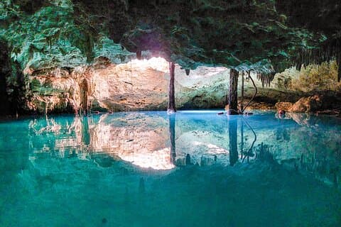 Cenotes och Akumal dagstur med simning med sköldpaddor från Cancun