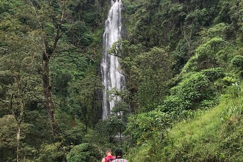 Tagestour zu den Materuni-Wasserfällen mit Ausflug zu Kaffee und heißen Quellen