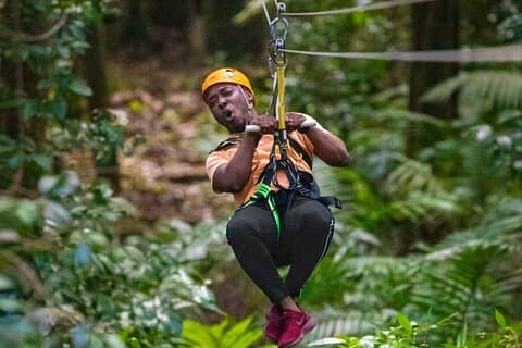 St. Lucia 3 in 1 Combo: Aerial Tram, Rainforest Trail & Zipline