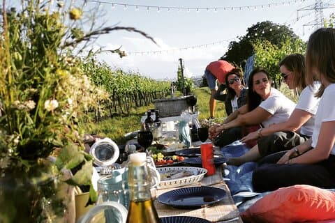 Exklusives all inclusive Weinpicknick in den Weinbergen