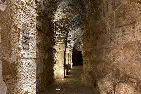 1 Day Tour to Amman Jerash and Ajloun castle