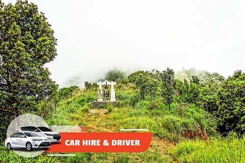 Car Hire & Driver: Full-day Bach Ma from Da Nang