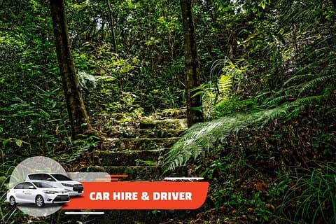 Car Hire & Driver: Full-day Bach Ma from Hoi An