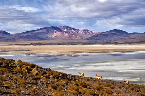 Private Expeditions Salar de Tara and Pujsa