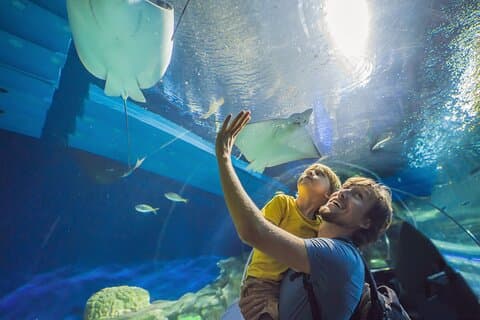 Oman Aquarium - Admission Ticket