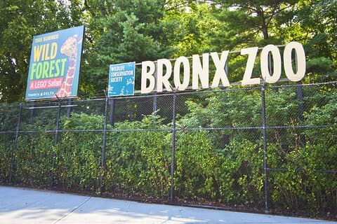 Skip-the-line Tickets to Bronx Zoo with Private Transfers