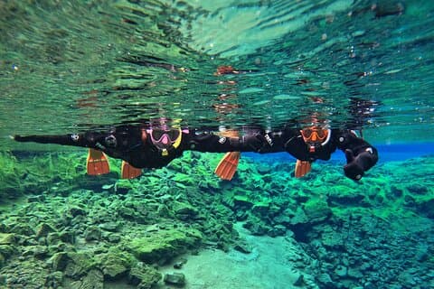Fra Reykjavik- Silfra Snorkeltransport inkludert