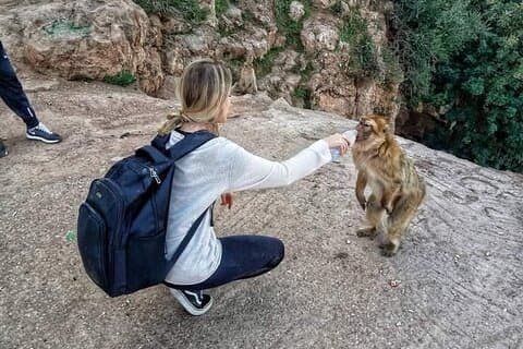 Beste 3 dagen van Fes naar Marrakech woestijntour