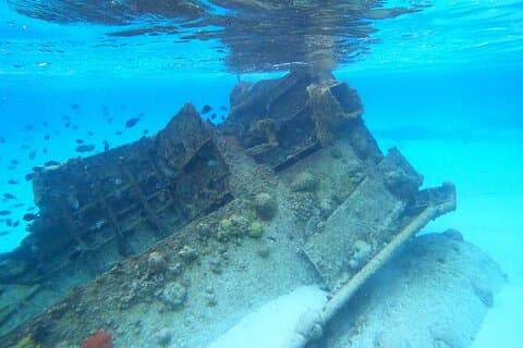 カンクンのサンゴ礁と沈没船シュノーケリング体験