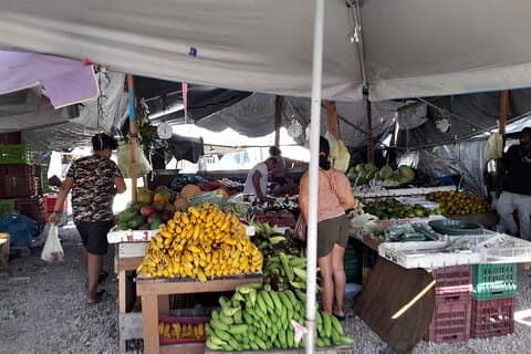 Belize City Northside Culture, Nature, Rum tasting, V.i.V.
