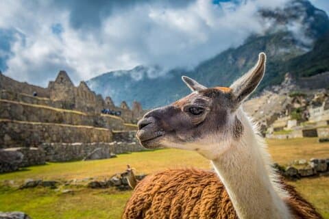 Cammino Inca breve di 2 giorni a Machu Picchu | Inti Punk |