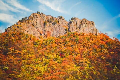 Naejangsan Fall Foliage Tour from Seoul with Busan Drop-off