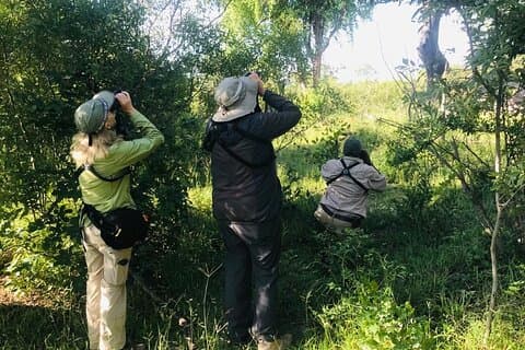 Heldags fågelskådning Zambezi National Park inkluderar picknicklunch