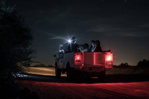 Dubai Private Night Desert Safari och astronomi
