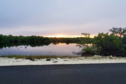 Uforglemmelig landtur på Long Island Bahamas