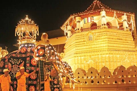 Colombo til Pinnawala og Kandy luksus dagstur med bil / lastbil / bus