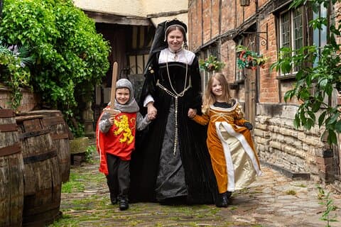 Tudor World Museum Entrance Ticket