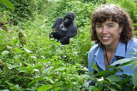 Safári Privado Gorilla Trek de 2 dias em Uganda via Kigali