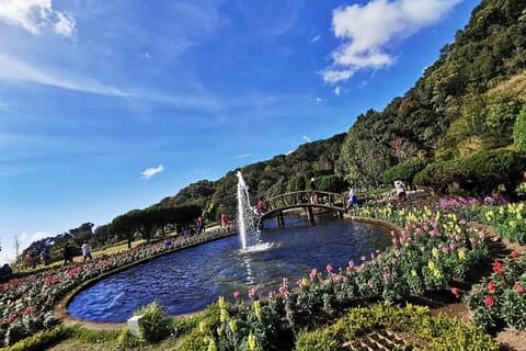 Private Tour Doi Inthanon And Trekking Nature Trail, Chiang Mai