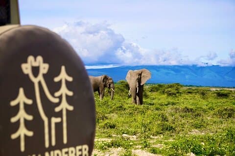 5-Day Mid-Range Safari in Tanzania