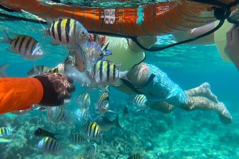 Parque Natural Privado de Meio Dia em Roatan, Snorkeling e Excursão na Praia