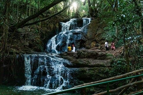 Excursión de un día al sendero natural del bosque Karura
